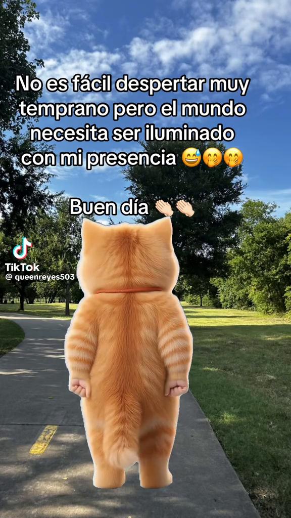 @Alicia vilches ,P