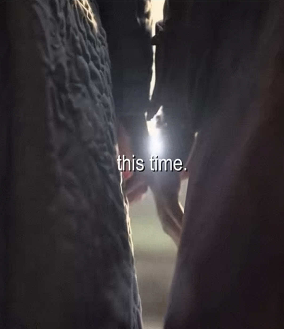 @wwwhat