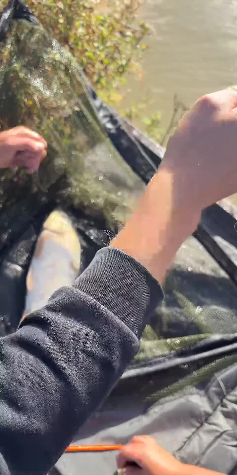 @llllrrrrxx