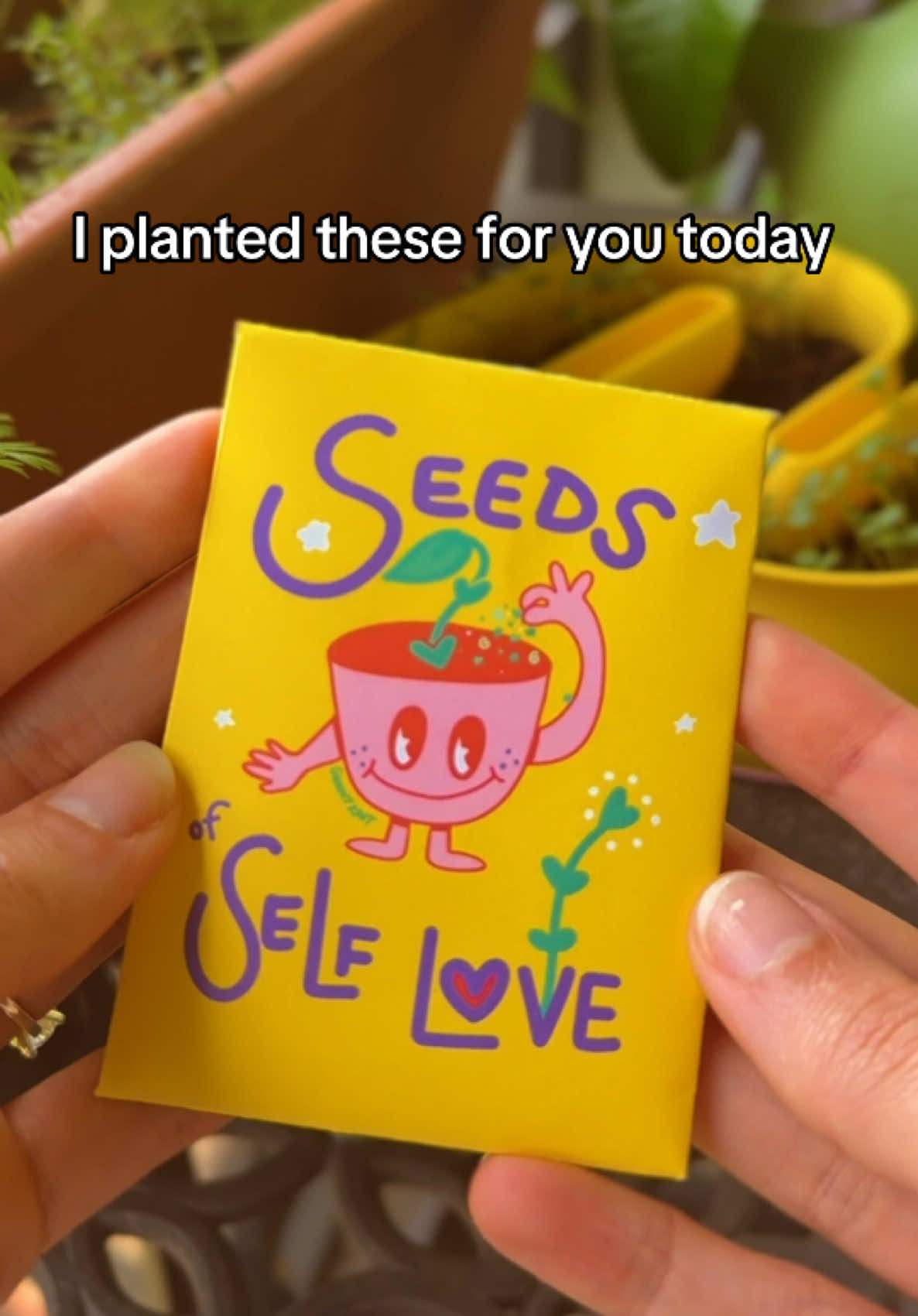 @groovy✿root