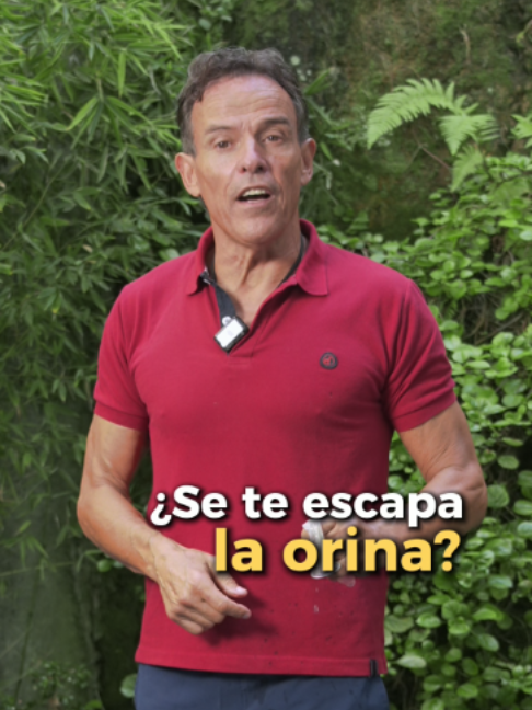 @PITI PINSACH