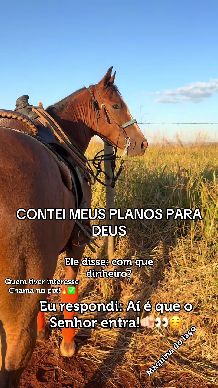 @mateusandrade9837
