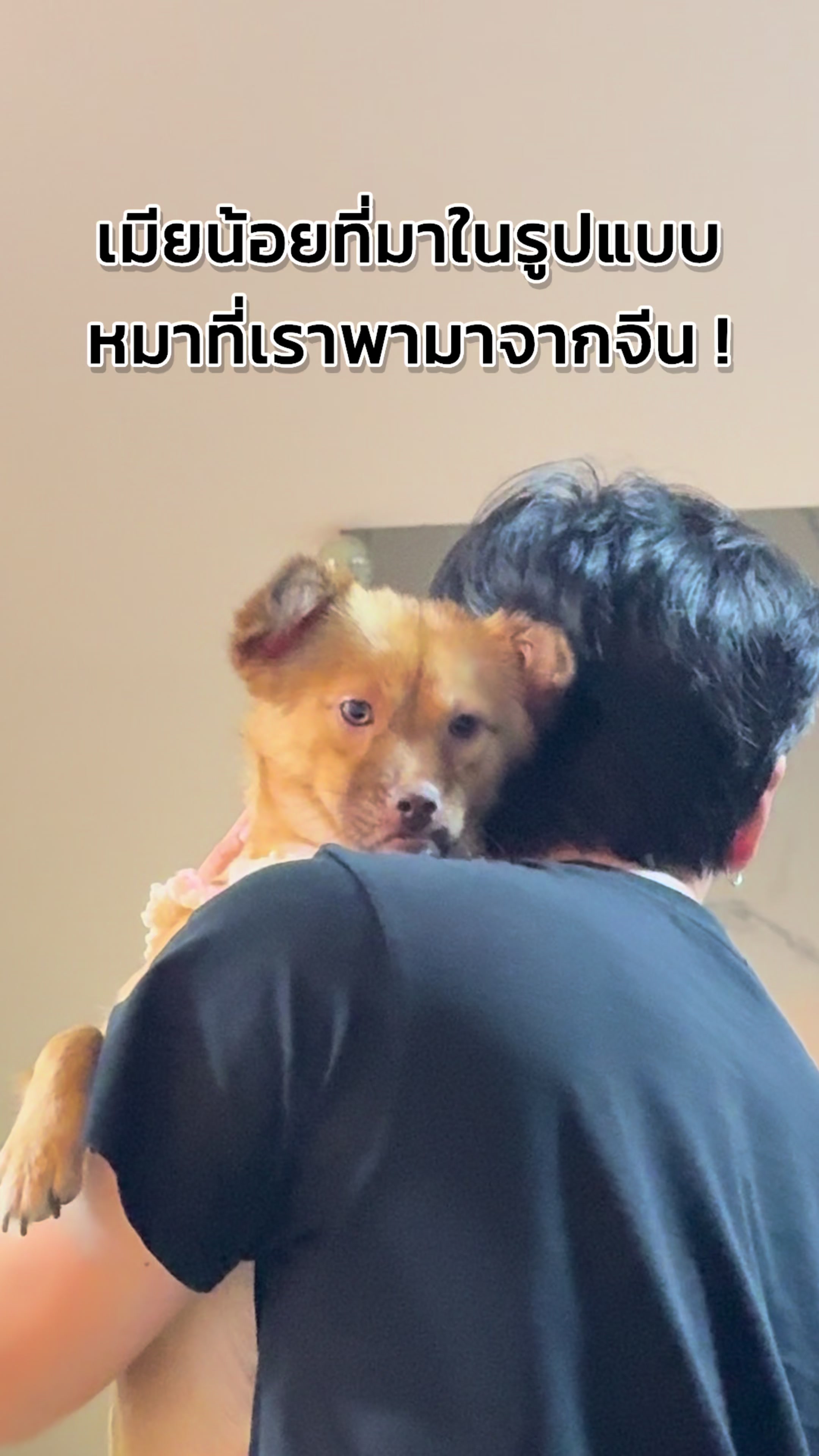 @ฟ้าบาร์บี้ช่องจริง