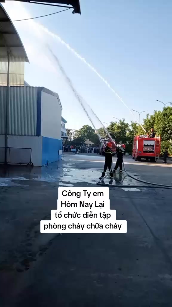 @như ngọc 588