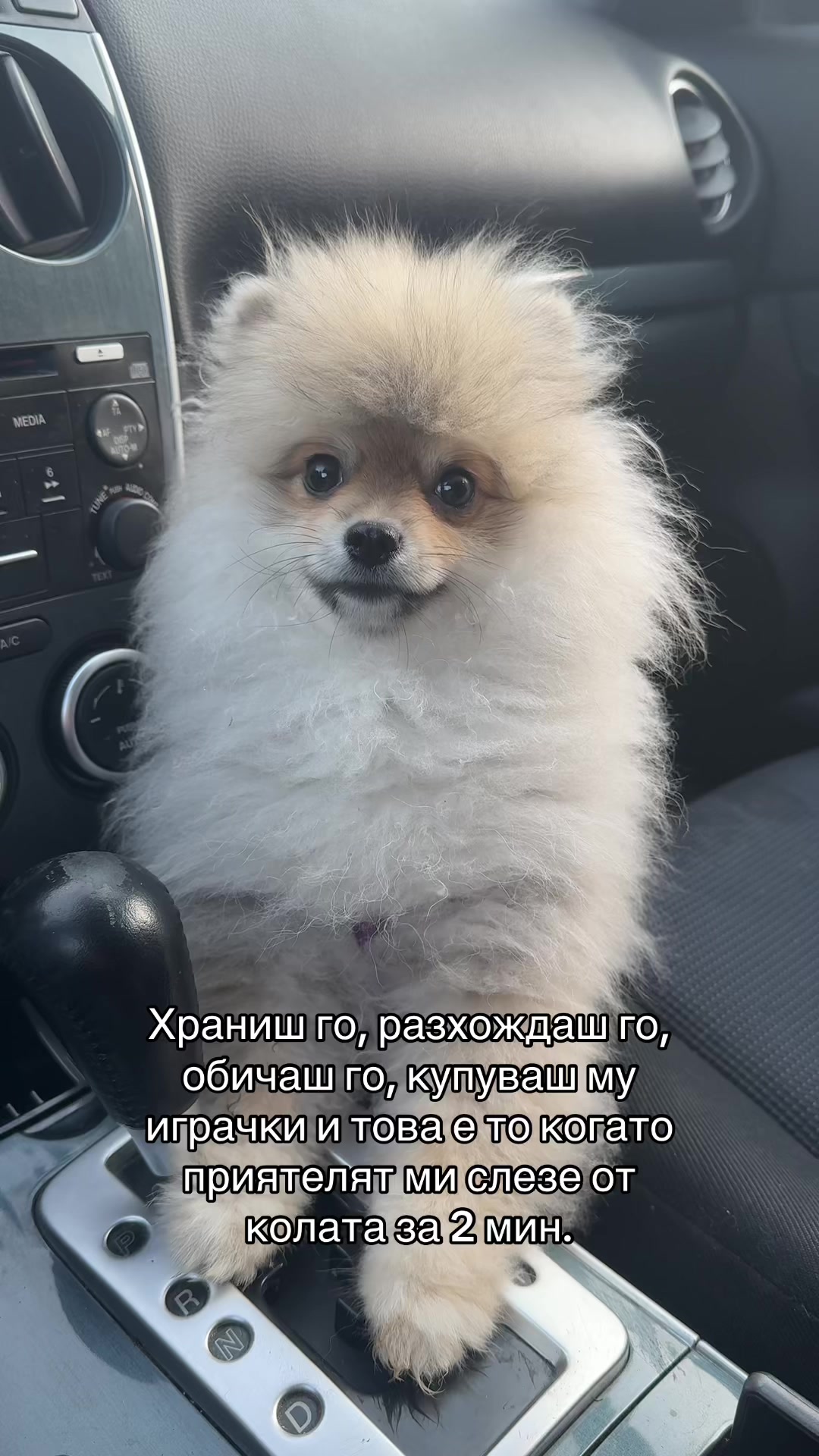 @Moni🎀