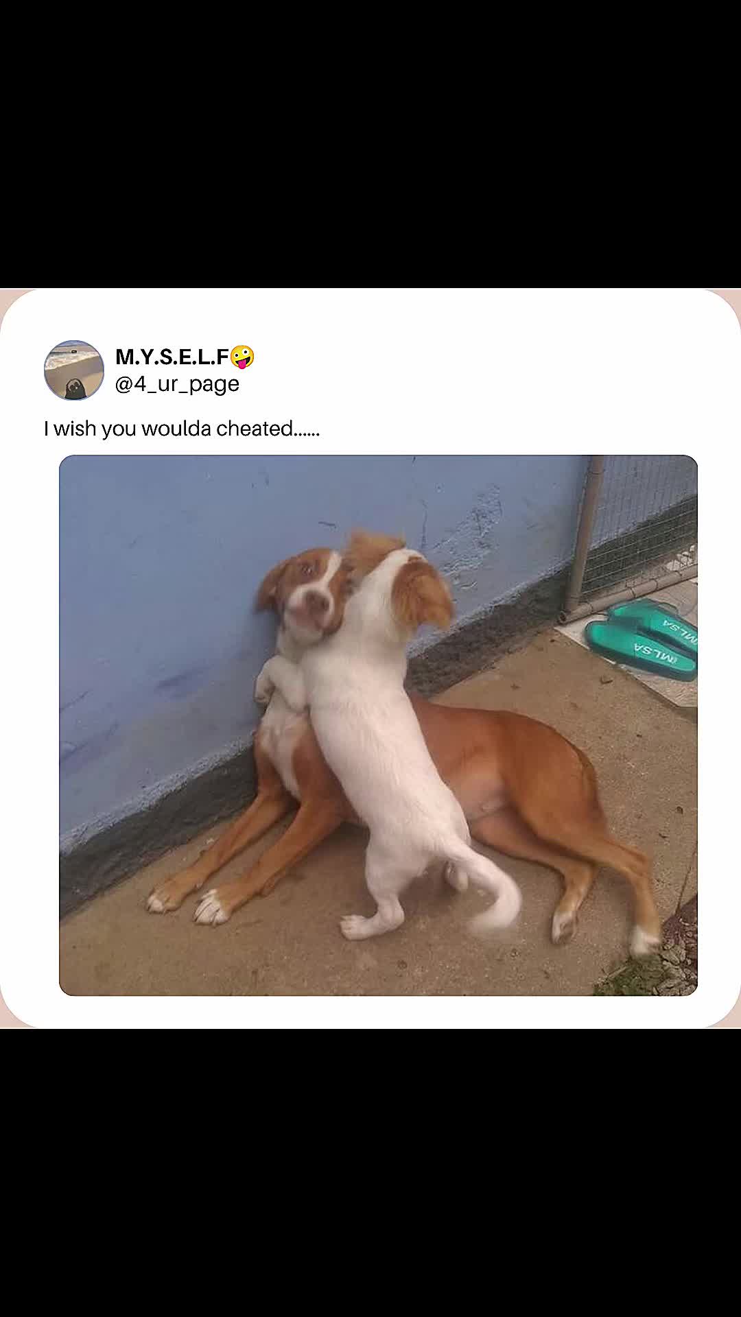 @M.Y.S.E.L.F🤪
