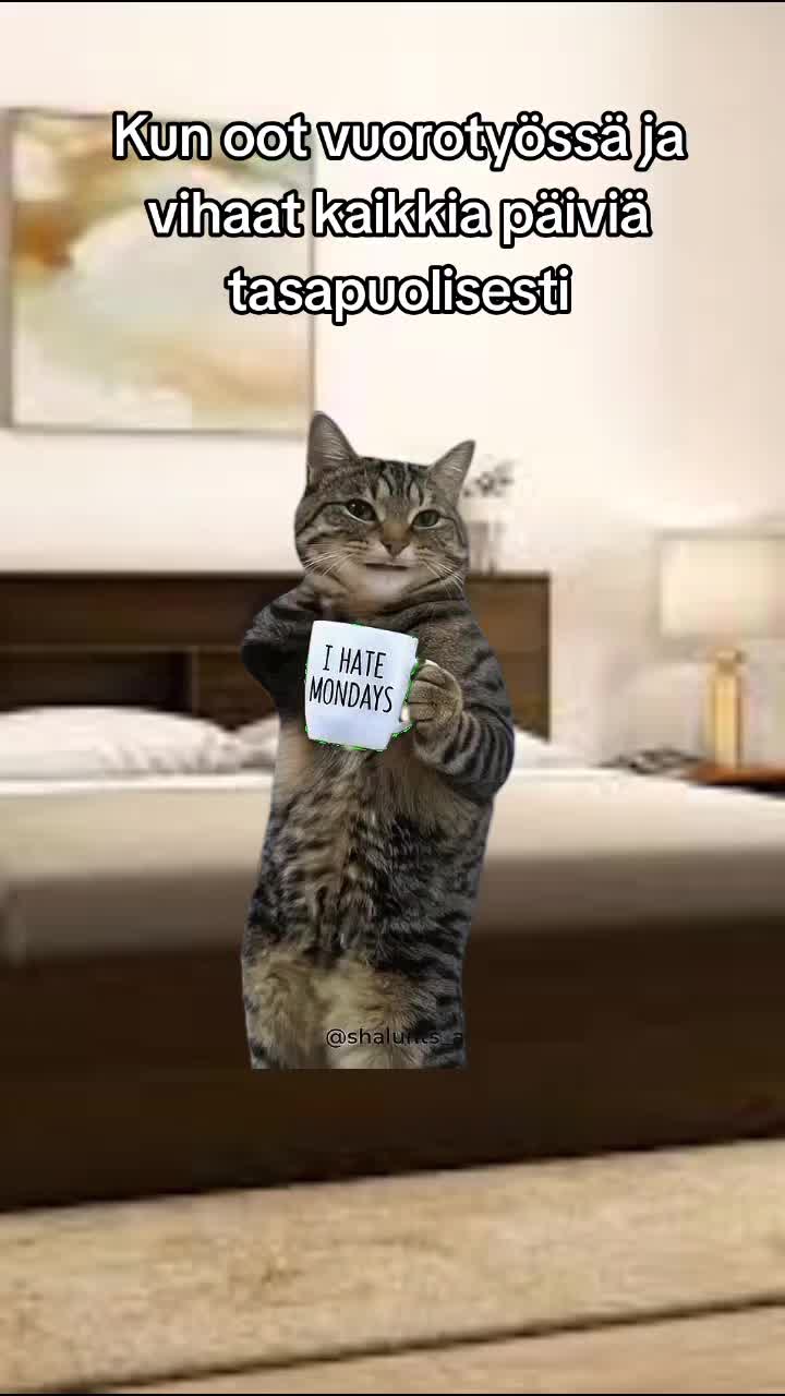 @Maija
