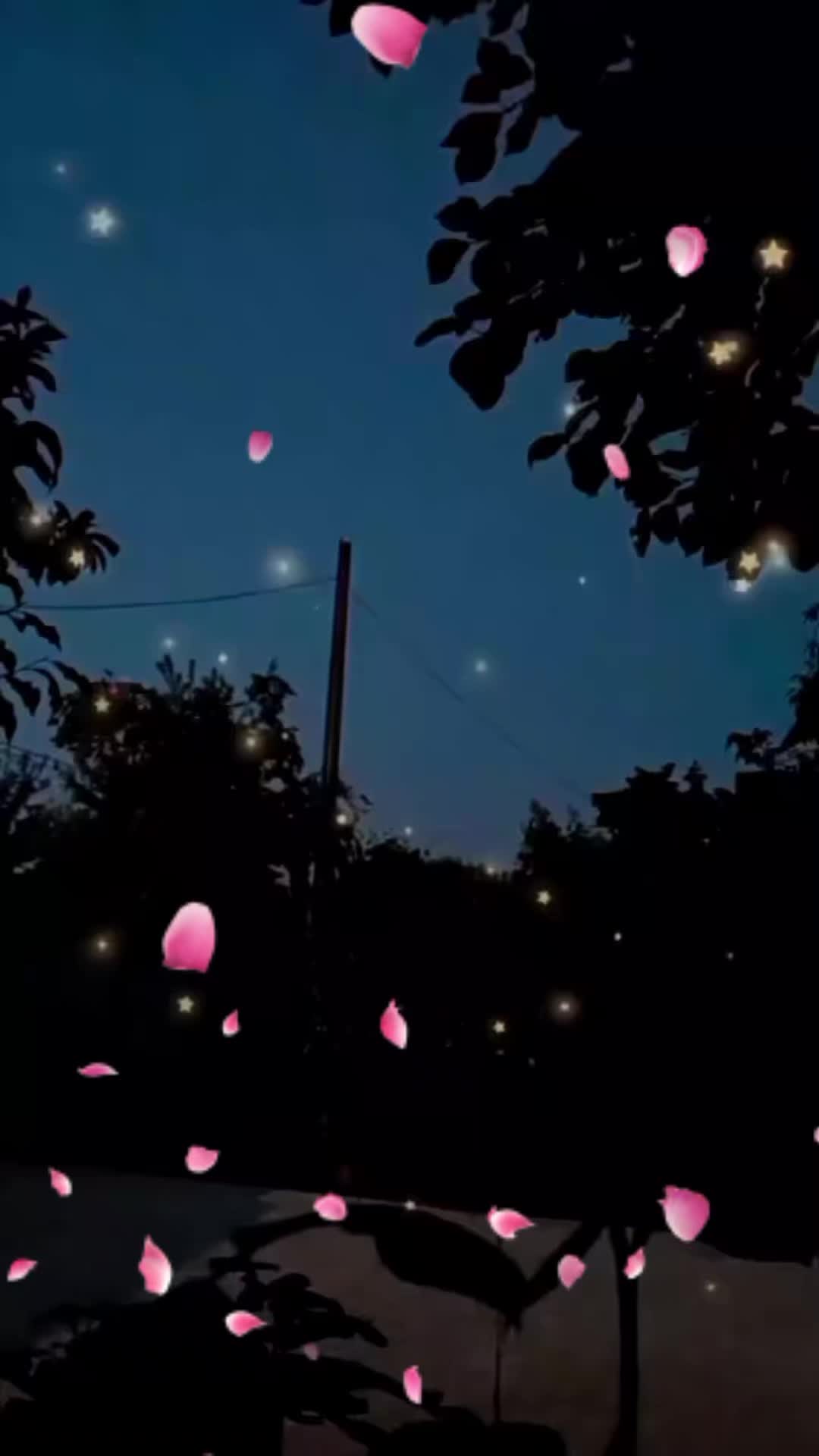 @forest.girl.melodies
