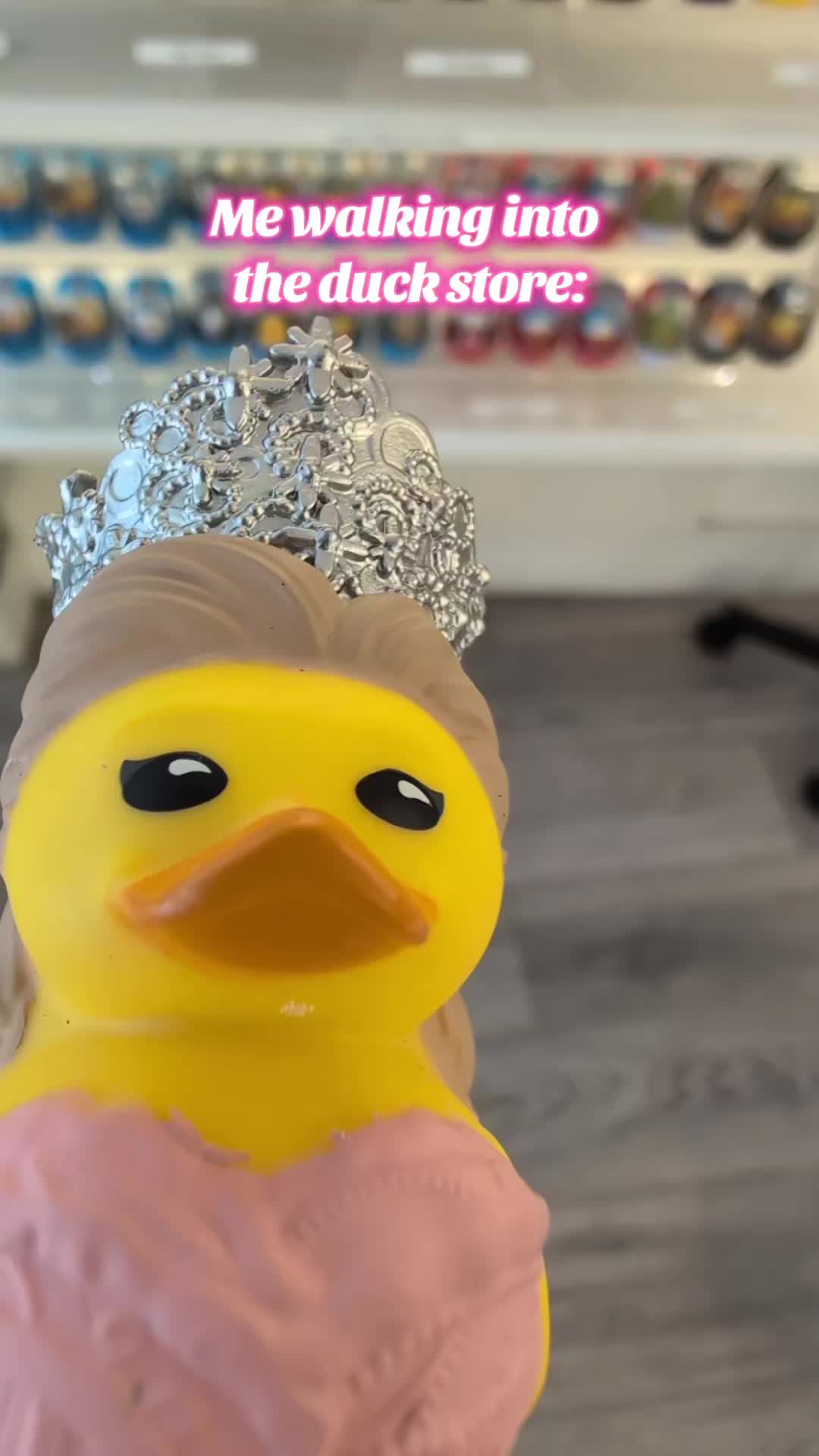 @Killarney Duck Store