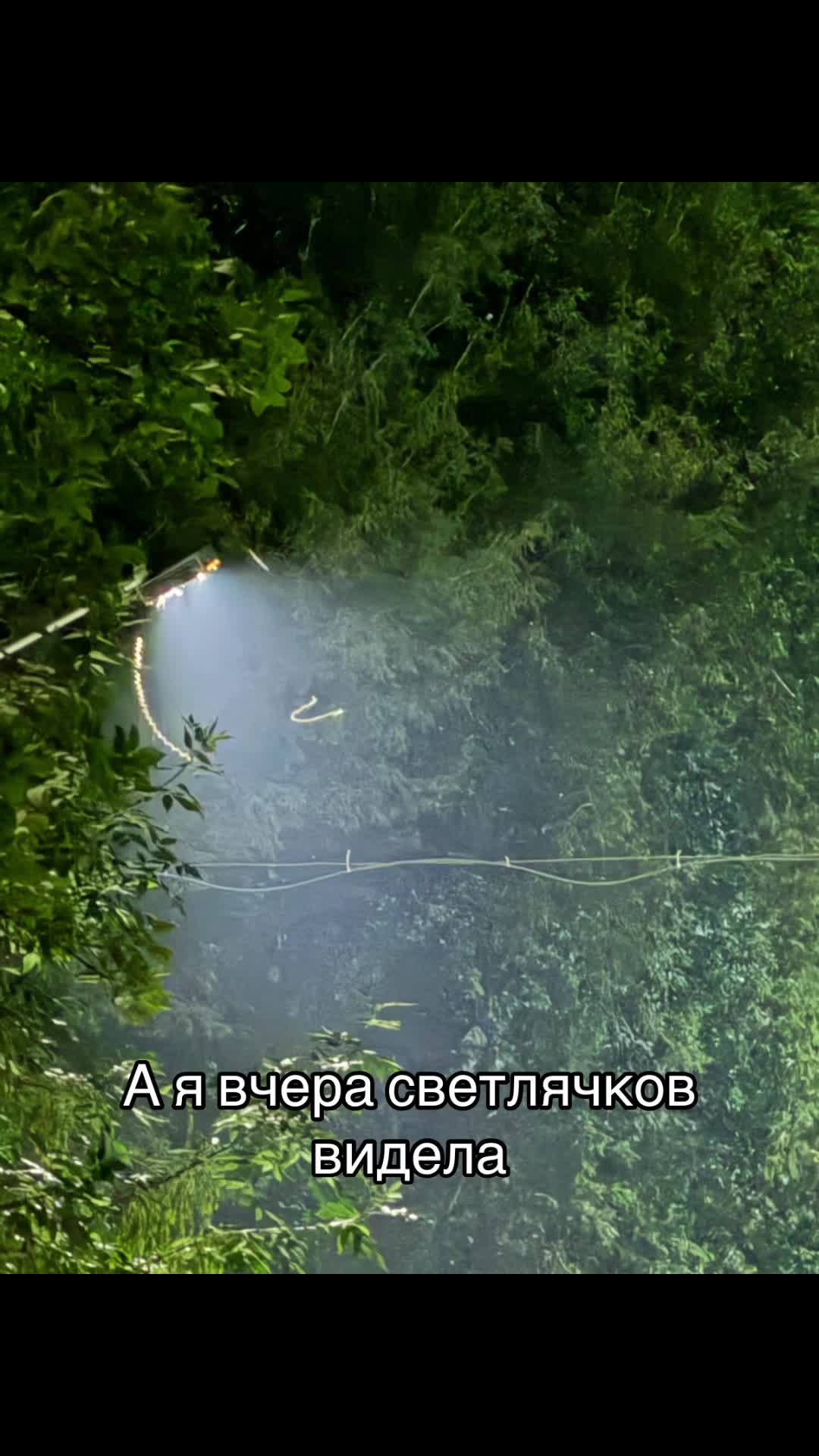 @_lucky_witch