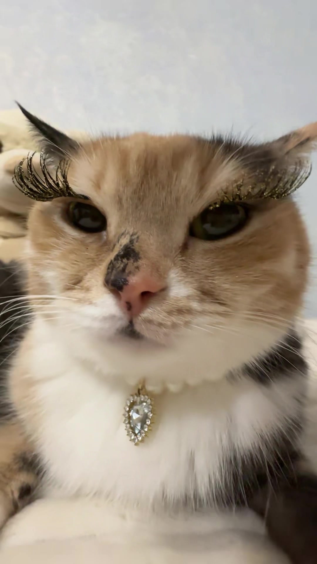 @Chloe 𝜗𝜚 Freya