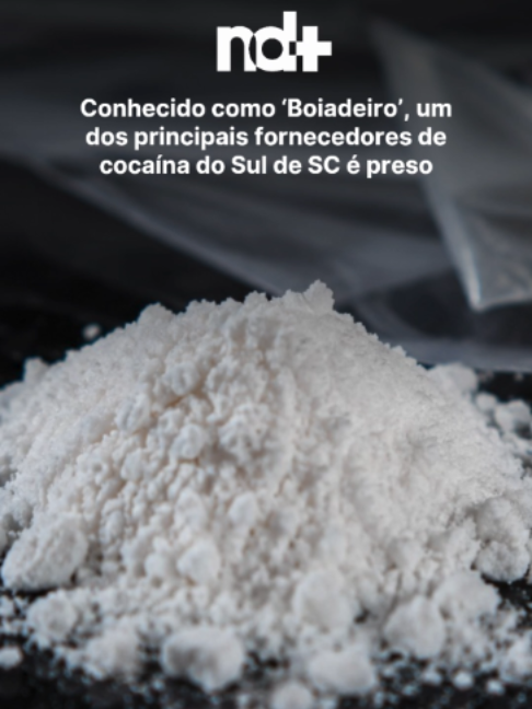 @portalndmais