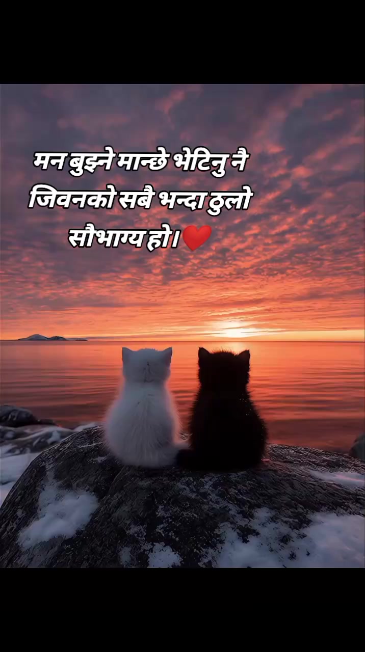 @aarush.khatiwada.537