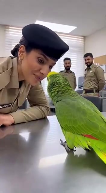 @احـمـدالحـربــﮯ𓍼ོ 🇦🇪