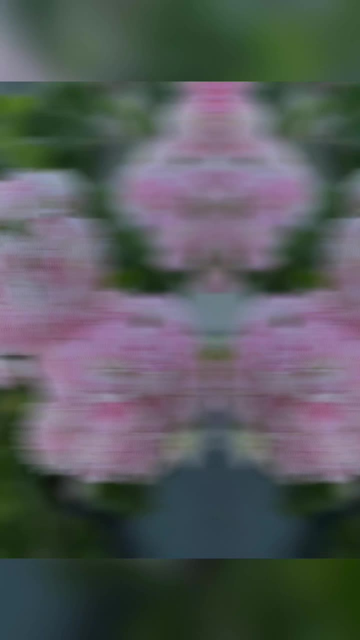 @Gül satışı🌸