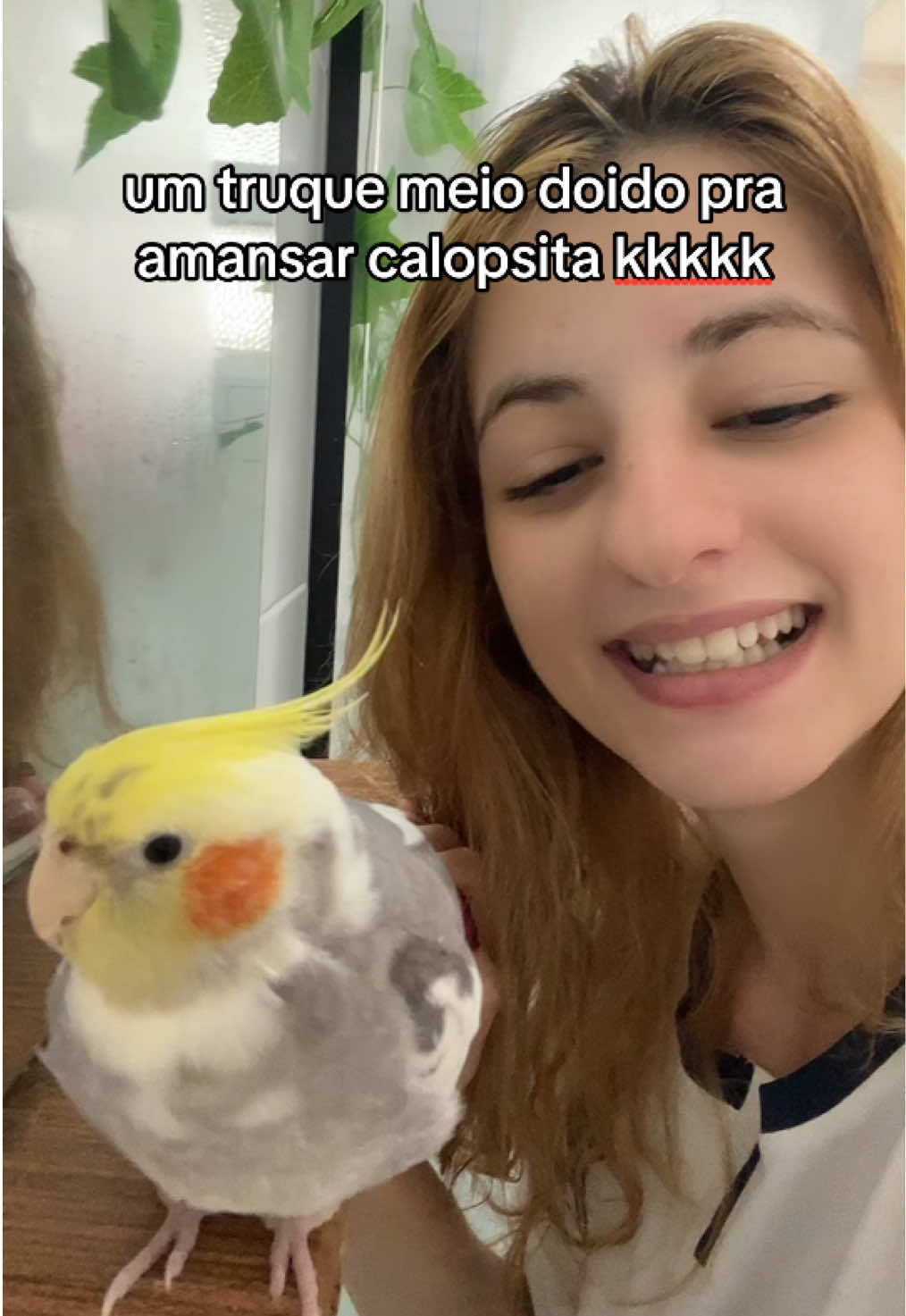 @juliabartoloo