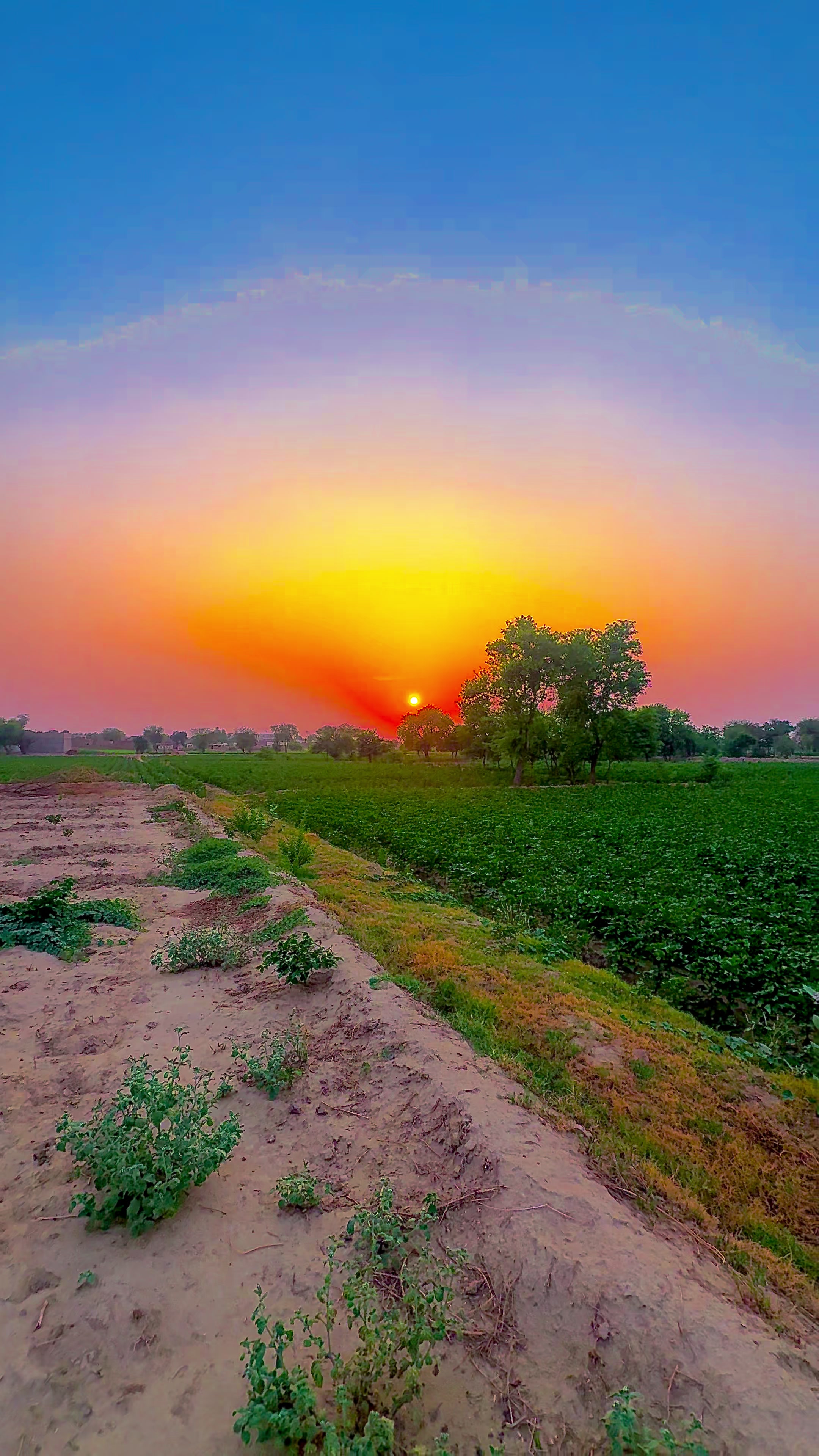 @🌾میں۔ میرا۔ پنڈ🎋