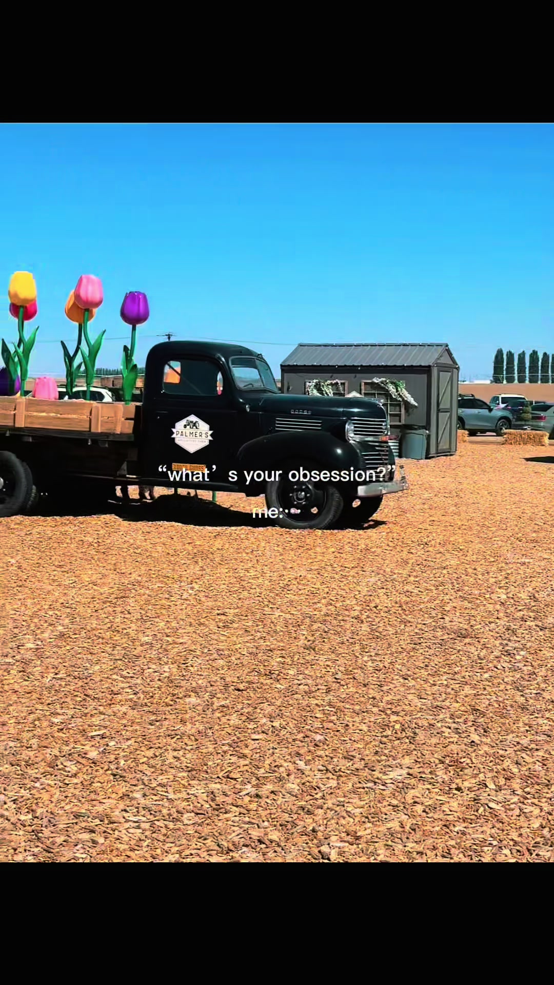 @Cherry Cat