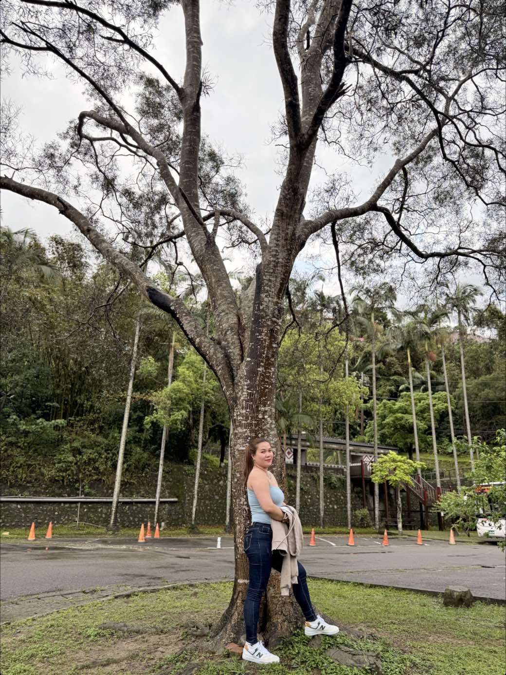 @伊洛纳🇹🇼
