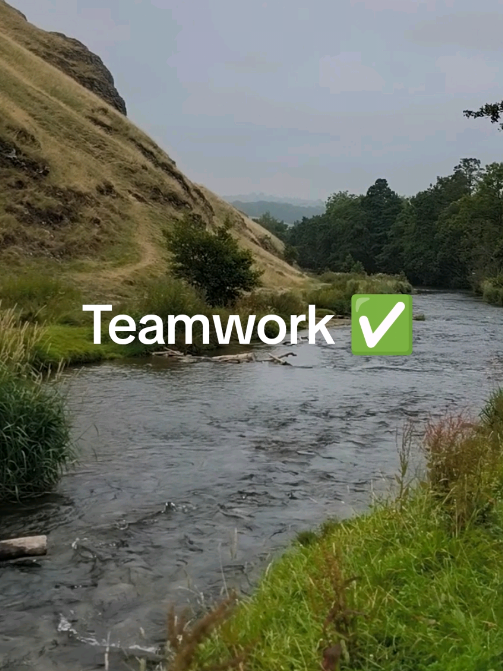 @Teamwork