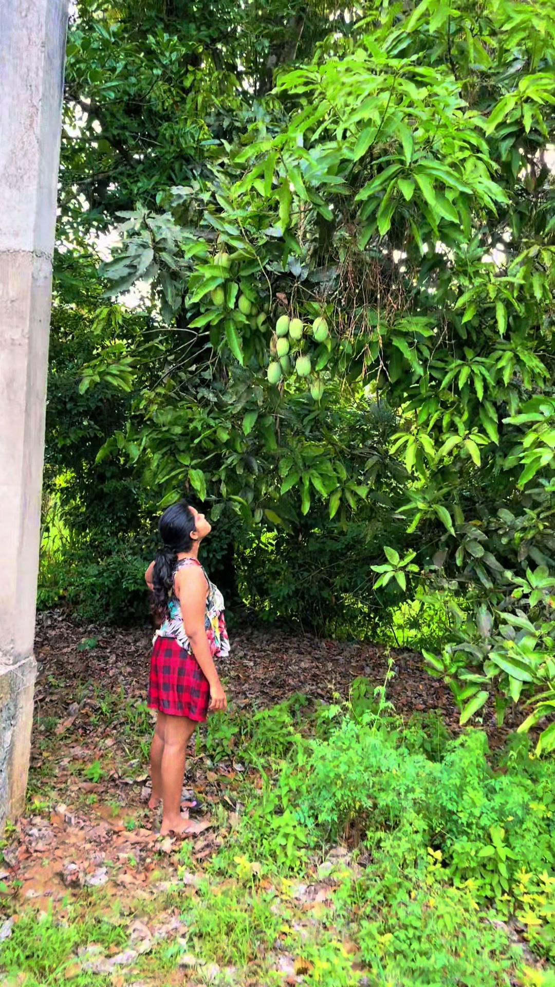 @Sdinusha