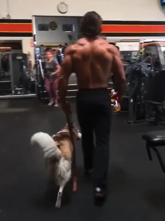 @mikeohearn.fan24