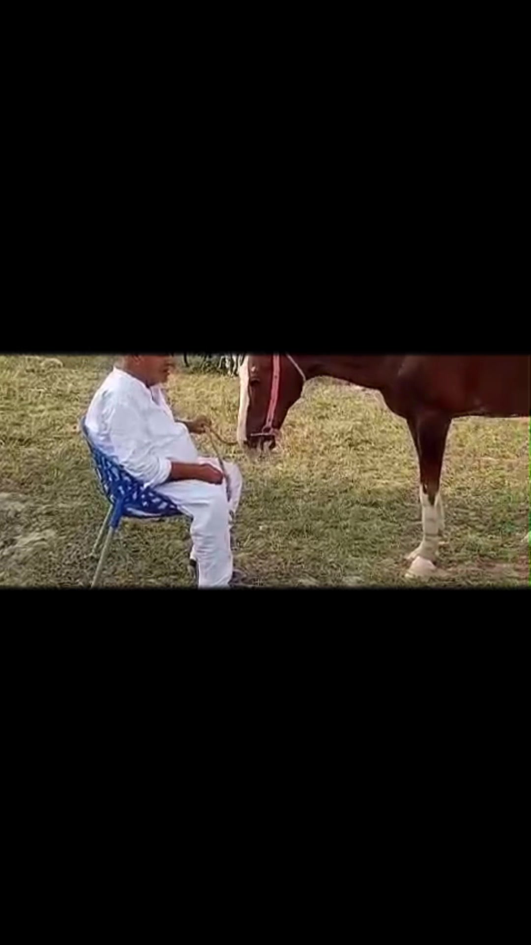 @شینکہ آلہ