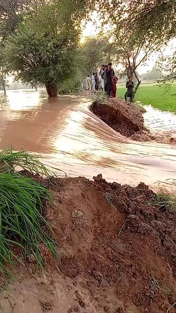 @Qaisar Abbas.804