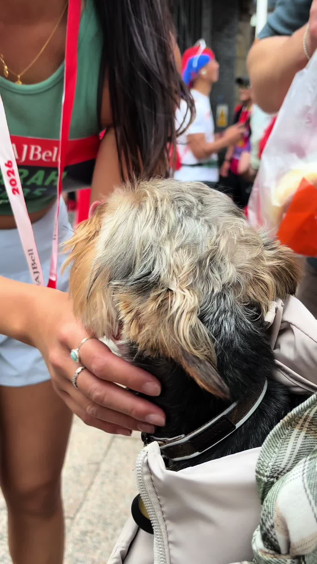 @Benjie the Yorkie