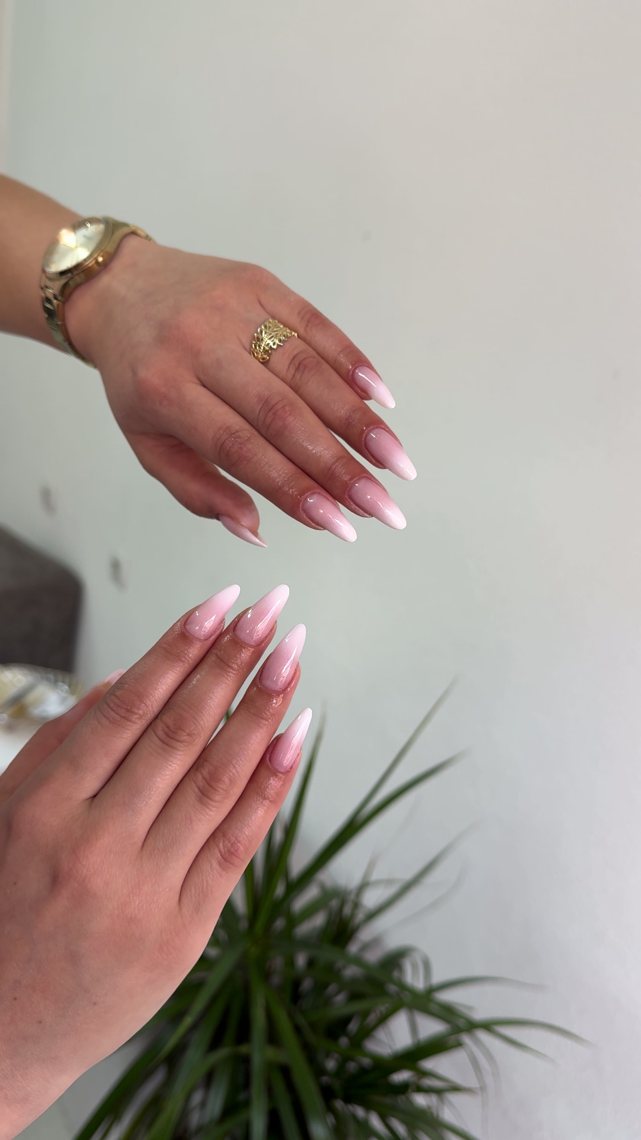 @Kesastudiio