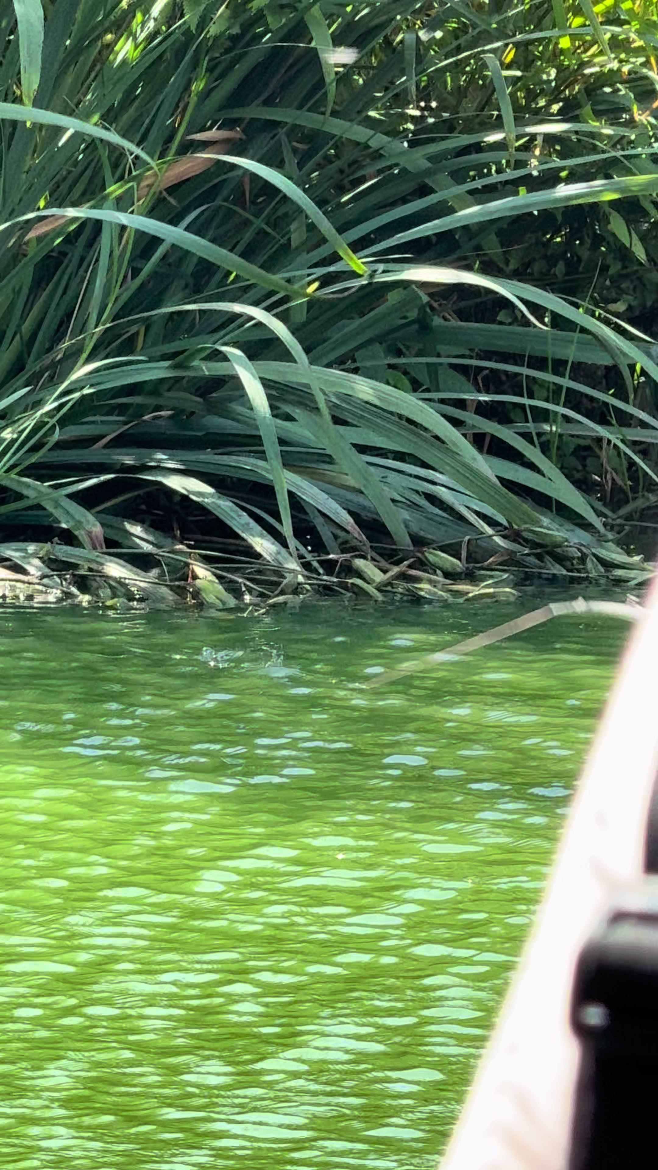 @Tackle Guru