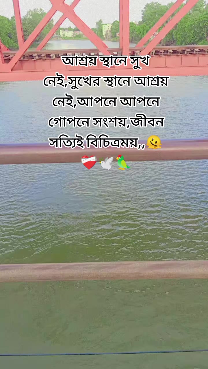 @শূন্য জীবন