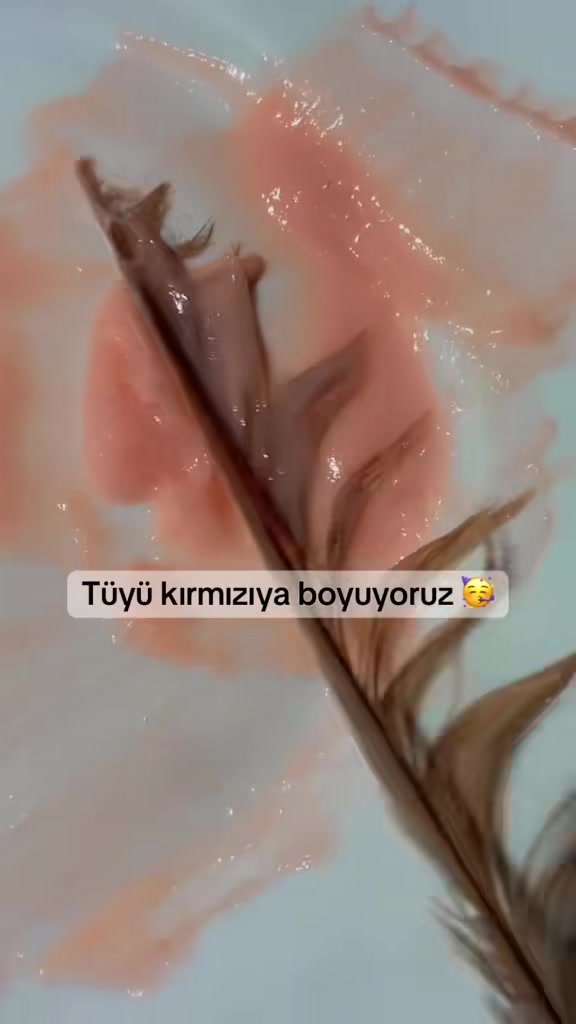 @birtutamsac
