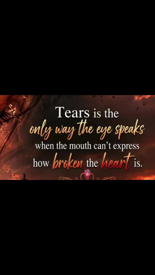 @💔𝑴𝒆𝒉𝒋𝒂𝒃𝒊𝒏 💔