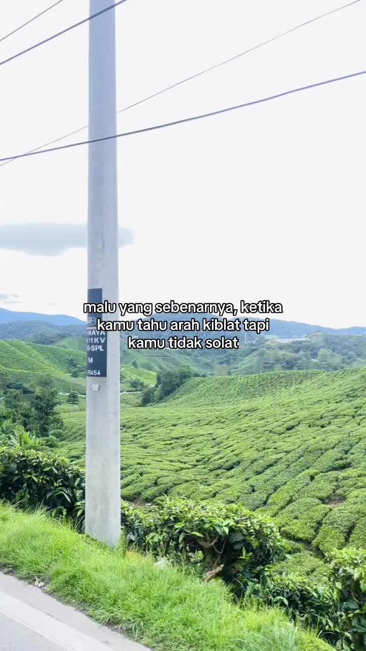 @𝙗𝙚𝙡𝙨𝙝𝙞☕️