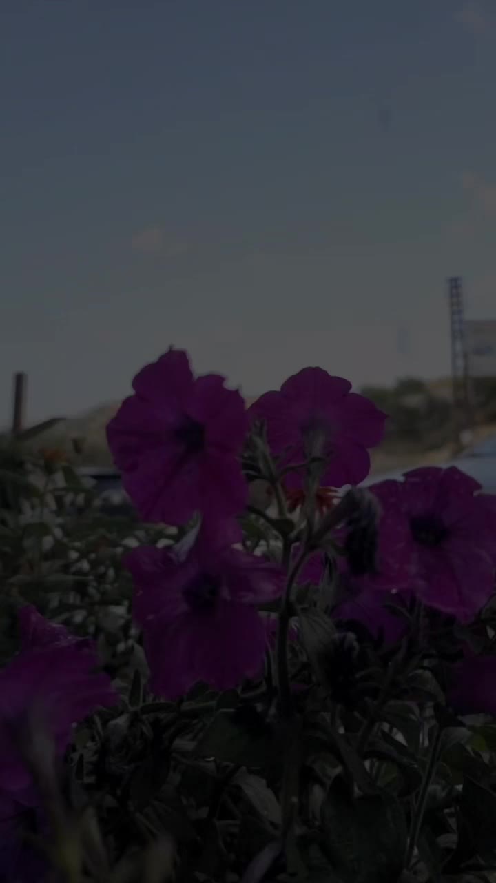 @𝓪𝓱𝓶𝓮𝓭 ¹⁸ 🦇