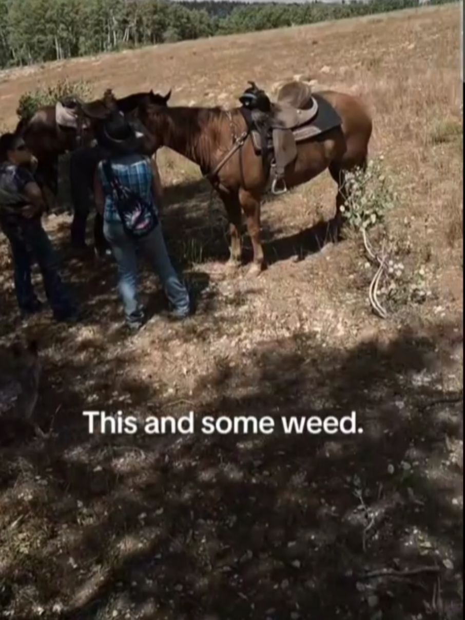 @Olsen Horse & Cattle Co. LLC