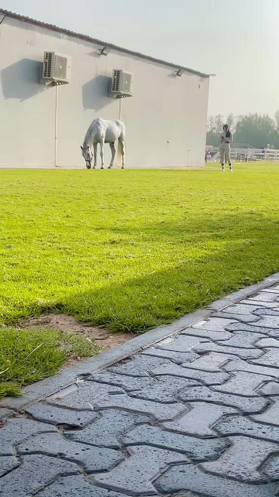 @Naeemali
