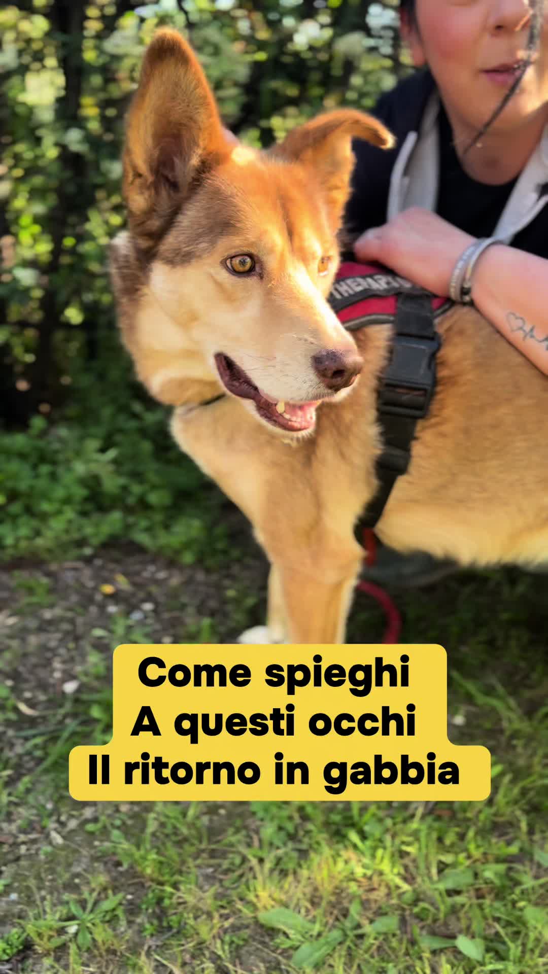 @Solo per amor loro 🐾🐾🐾🐾