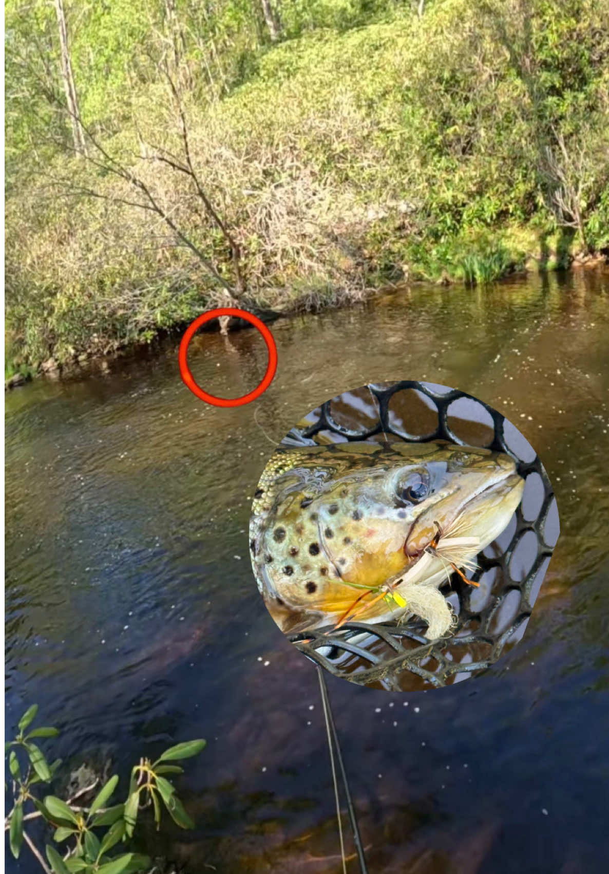 @FlyFishDelawhere
