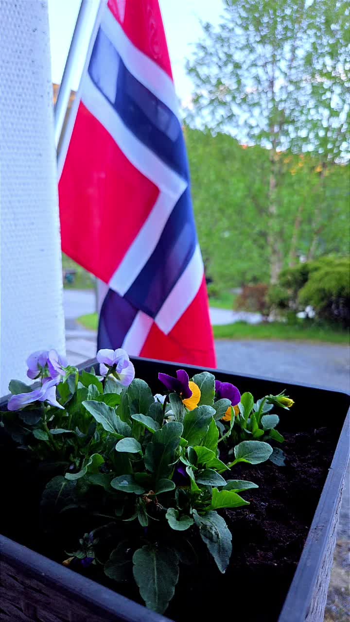 @Helge🇧🇻⚓️🇧🇻⚓️🇧🇻