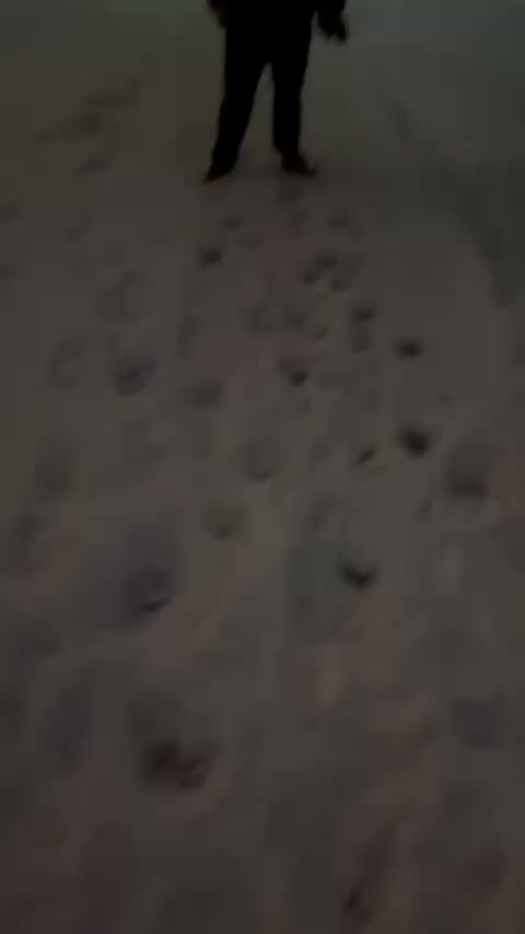 @OLEJOHA