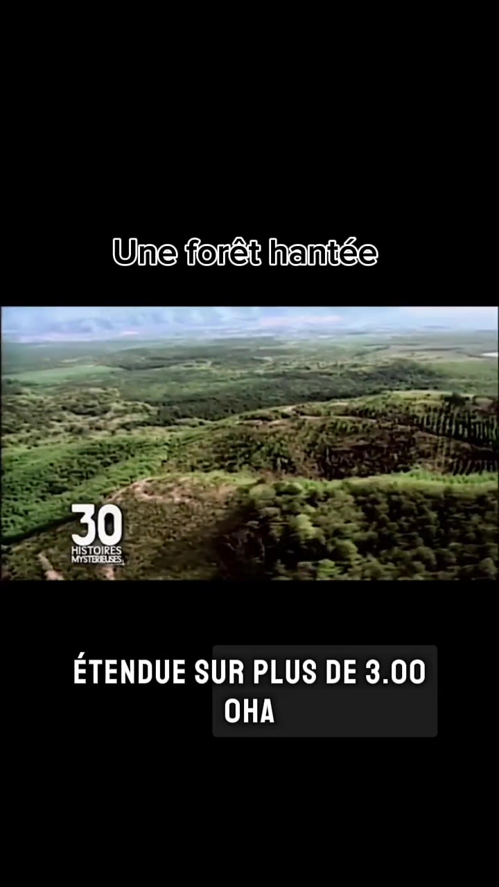@n&rsquo;ai pas peur