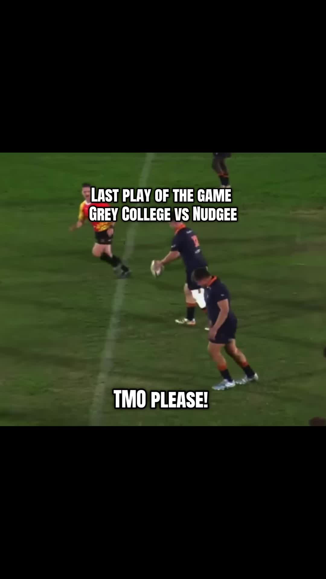 @young_rugby