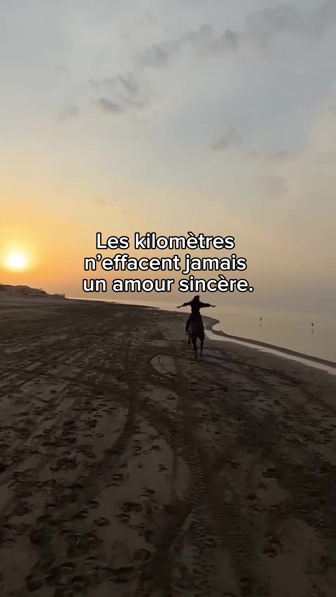 @les.citations_2000