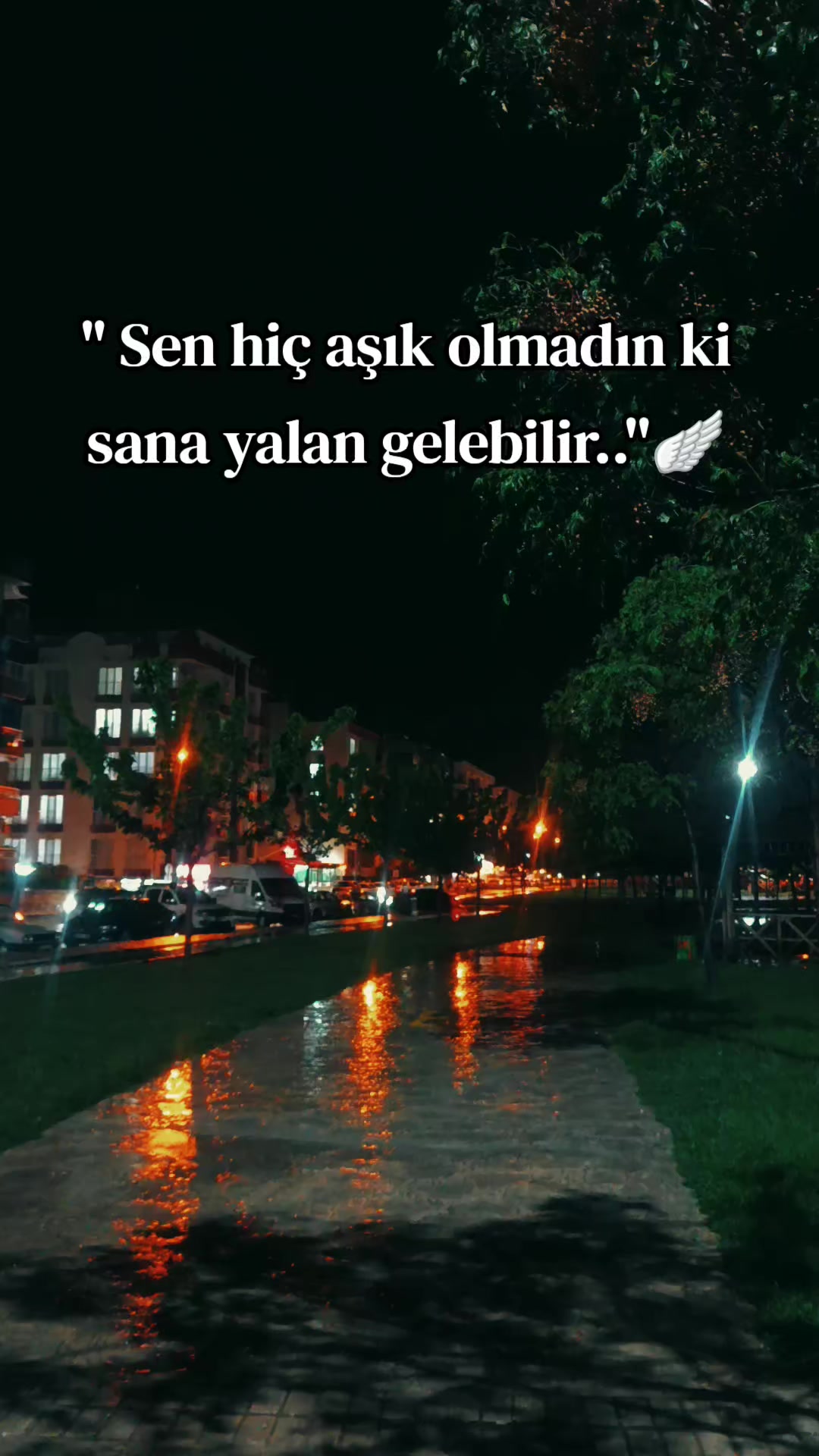 @❤️🩹🕊️