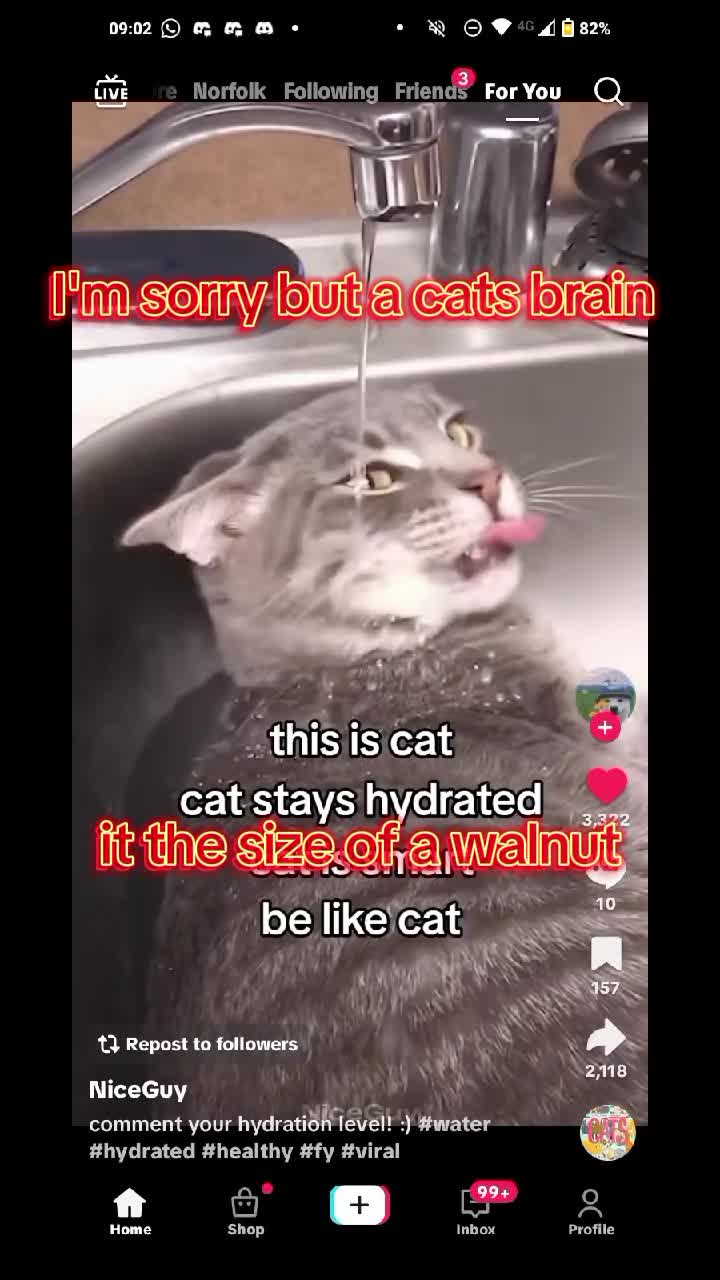 @RelatableTok