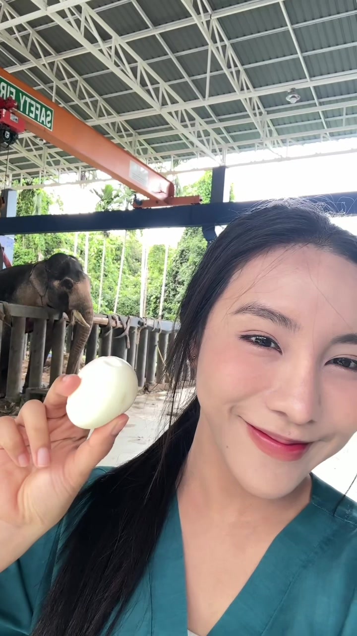 @หมอโบว์ รักษาช้าง