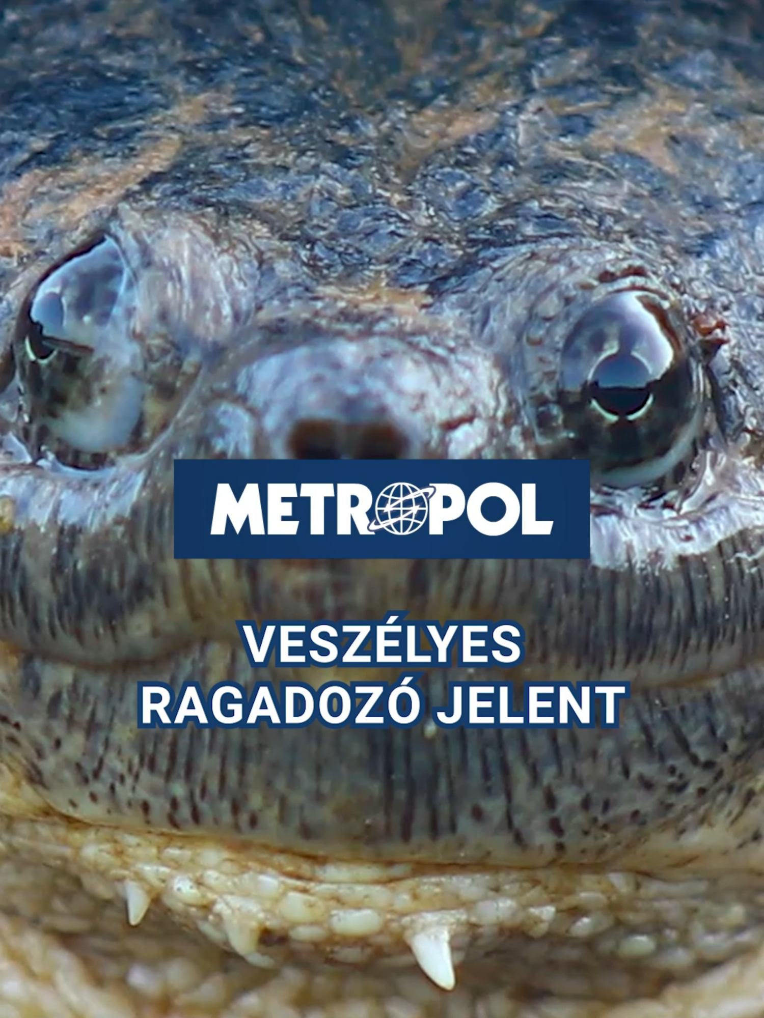 @Metropol