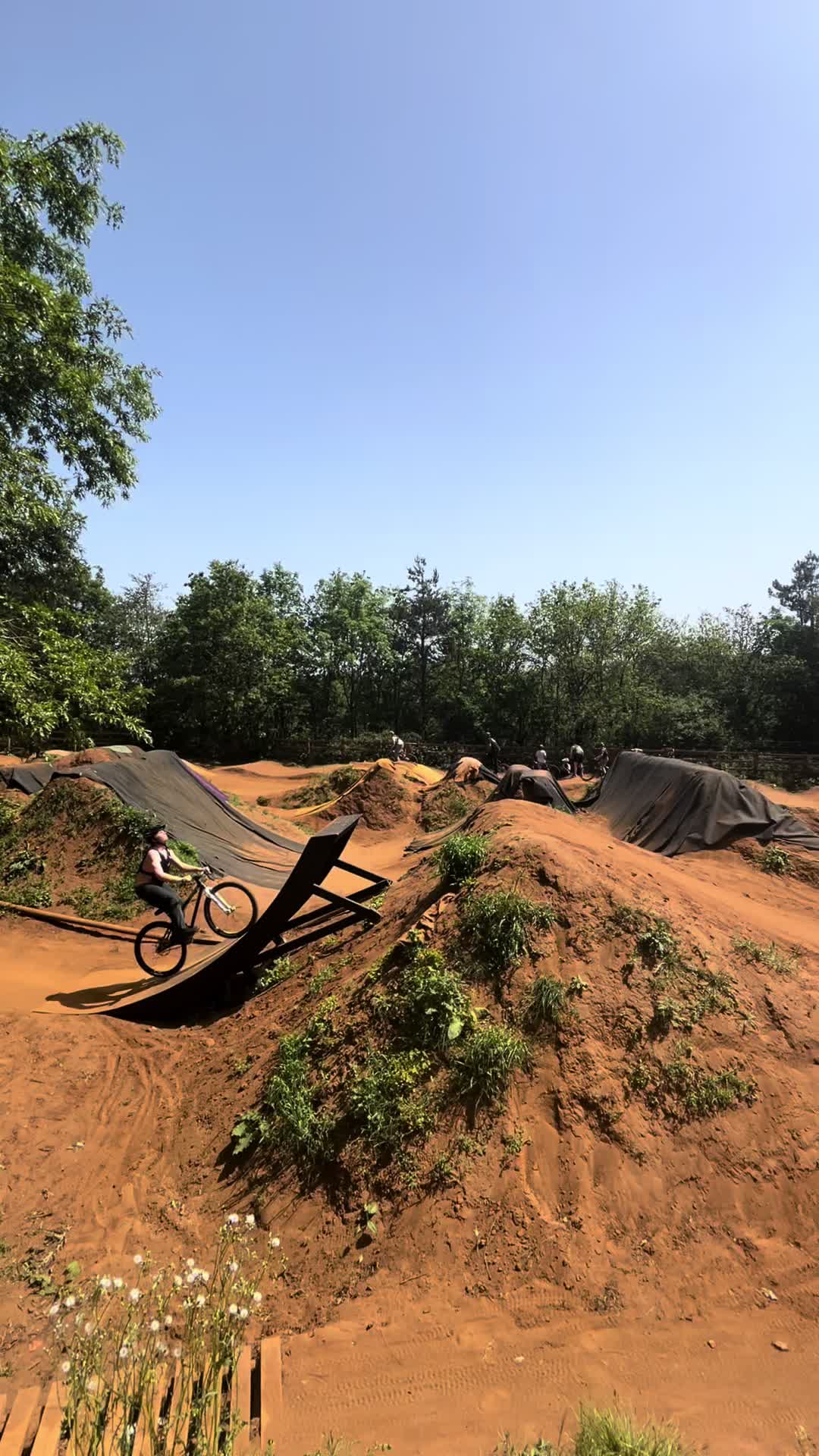 @Riley.MTB🌊